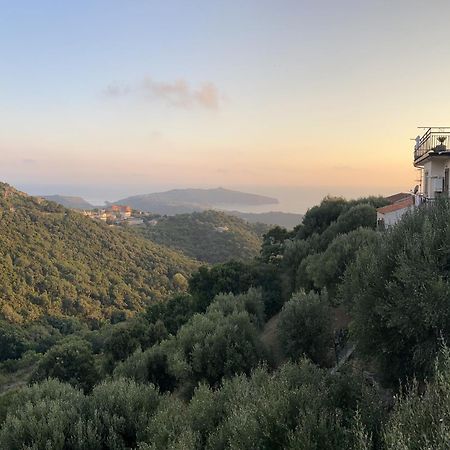 Casa Vacanze Domus Centola Dış mekan fotoğraf