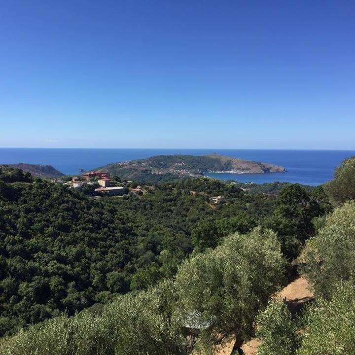 Casa Vacanze Domus Centola Dış mekan fotoğraf