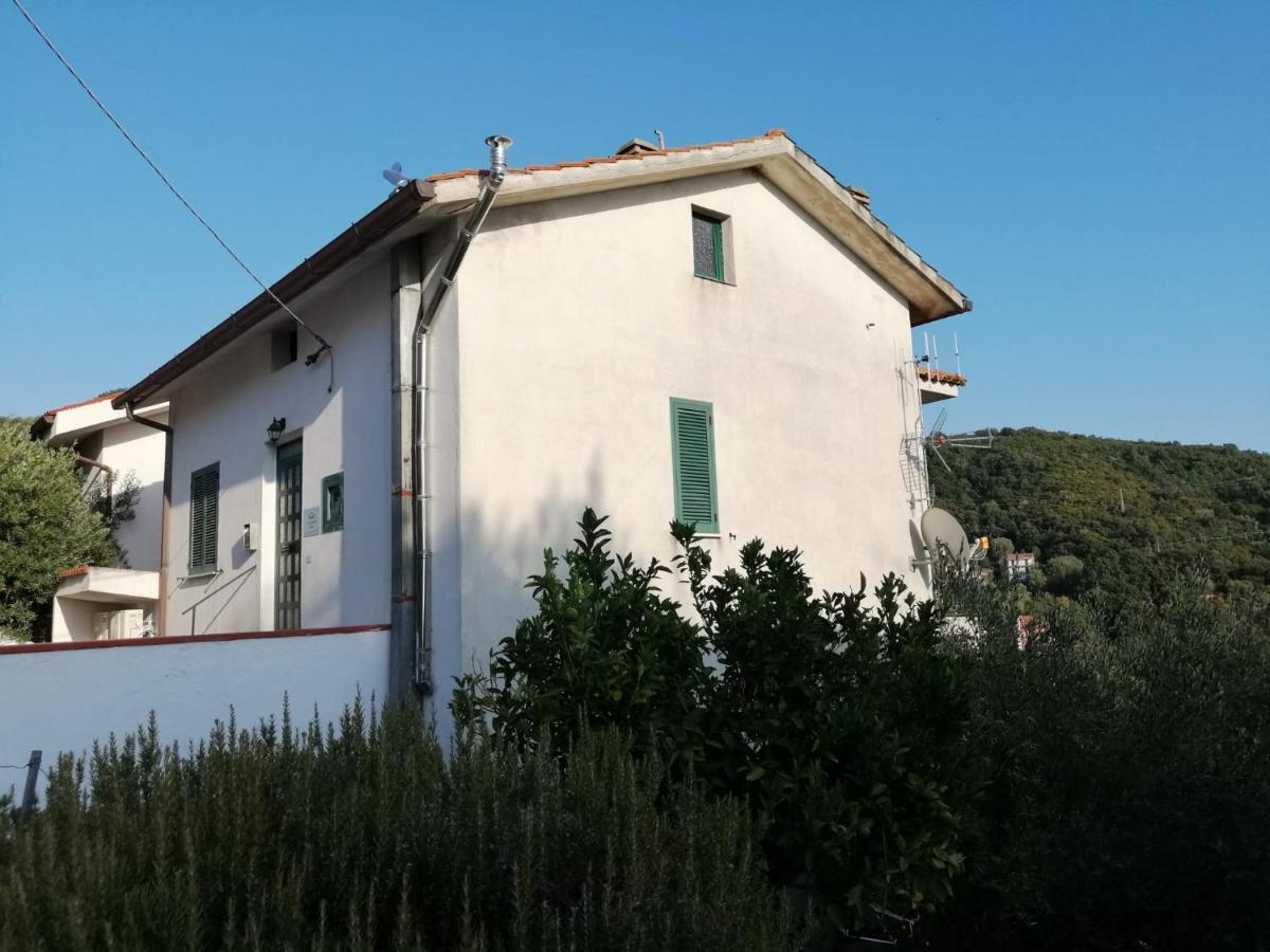 Casa Vacanze Domus Centola Dış mekan fotoğraf